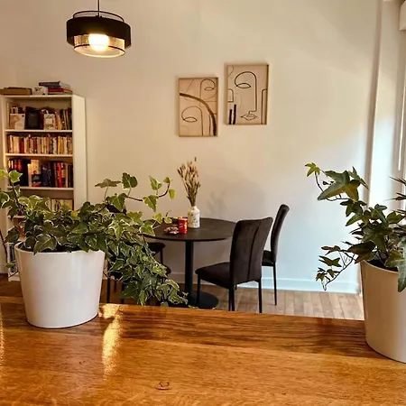 Appartement Le Spacieux Et Confortable à 15min De La Gare Valence (Drome)